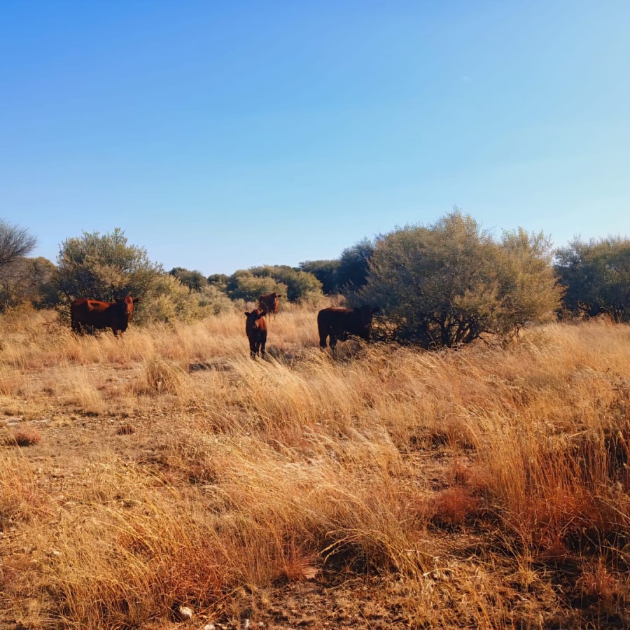 Commercial Property for Sale in Reivilo Northern Cape